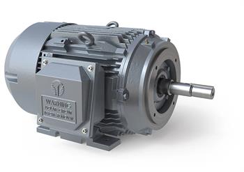 CENTRIFUGAL MOTOR 10/208-230/460v,TE,3ph,215JM,3600RPM