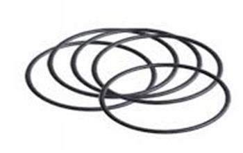 O-RING OLD AMETEK BB Bowl Size B356