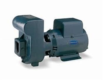 BERKELEY LTM 5hp S40103 3ph ODP 230v TriV 3" x 2.5" NPT