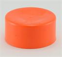TEST CAP 2" Poly h