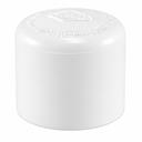 END CAP 2.5" PVC S40W s