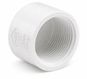 END CAP 6" PVC S40W t