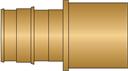 1" PEX F1960 × 1" F/Sweat No Lead Brass Adapter