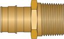 1" PEX F1960 × 1" MNPT No Lead Brass Adapter