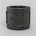CUPLG 1/2" x 1/2" Std Blk MI