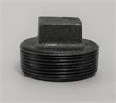 PLUG 1" Std Blk