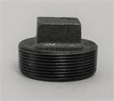 PLUG 2" Std Blk