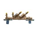 DOUBLE CHK ASSY LF 2" w/Valve FT Conbraco #4ALF-108-A2F