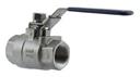 BV 1" 3045SS 1000CWP