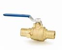 1/2" Pex Ball Valve With Drain BMI ixi