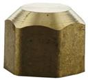 SEALING CAP NUT 1/2" 