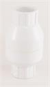 SPRING CHECK VALVE 2" ss