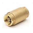 SPRING CHECK VALVE 1" NL Br