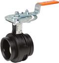 Victaulic Butterfly Valve Series 761 - 4"
