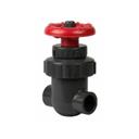 GATE Valve 3/4" PVC tt Spears, Buna "O" 200psi @73'F