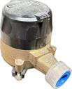 Water Meter 5/8" Metric Direct Read w/o Tail Pc