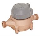 2" BADGER WATER METER M3 M170 c.w ENCODER w/o Flange Set
