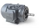 CENTRIFUGAL MOTOR 10HP. 575v, 2p, TEFC, 3ph, 213JM