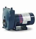 BERKELEY Jet Pump 5HL 1/2hp Deep Well 115/230v