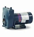 BERKELEY 7HL Jet Pump 3/4hp Deep/Shallow w/o Ejector