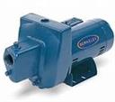 BERKELEY 7HN Jet Pump 3/4hp HD Cast Shallow 115/230v