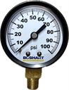 PRESS GAUGE 100 psi 1/8" LM 2" Dial, Steel Case