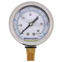 LIQ PRESS GAUGE 60# 1/4" LM 2.5" Dial, SS Case