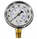 LIQ PRESS GAUGE 160 # 1/4" LM 2.5" Dial, SS Case