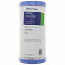 R30BB SEDIMENT FILTER 30u AMETEK, Washable, 10"